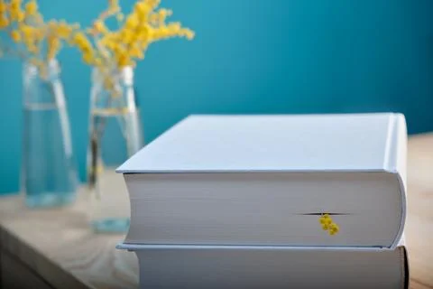 Close-up focus on a bookmark of delicate bright yellow mimosa in one of the t Stock Photos