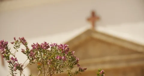Close-up focus pull of flowers in front of Church cross Stock Footage 114459768