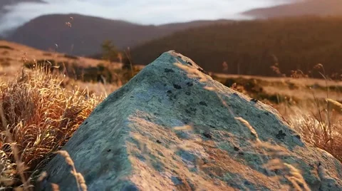 Close up focus-pull of stone and prairie grasses wave in the breeze in the Stock Footage 60229069