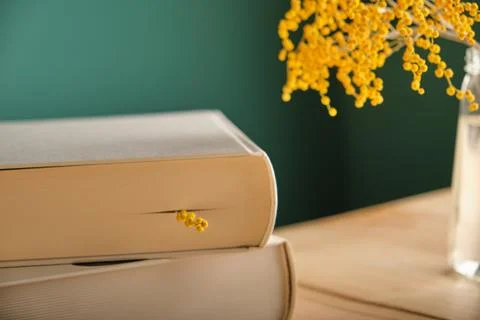 Close-up focus on a small bright yellow mimosa twig, which, like a bookmark,  Stock Photos