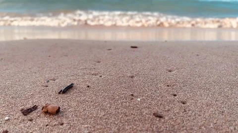 Close up focused sandy beach . Beach sand close up white foamy waves nature sunn Stock Footage 212089360