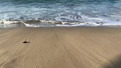 Close up focused sandy beach blurred sky sunlight. Beach sand close up white foa Stock Footage 214630287