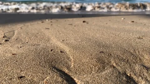 Close up focused sandy beach blurred sky sunlight. Beach sand close up white foa Stock Footage 215888819