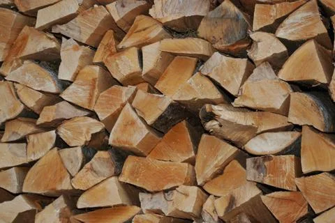 Close-up folded fresh logs from a tree of Caucasian Fagus orientalis beech  Stock Photos