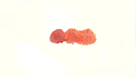 A close up of food Video stock 131951588