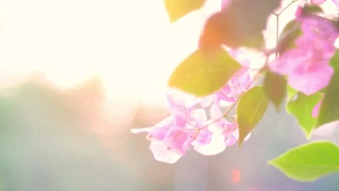 A close up of food Vídeo Stock 156846006