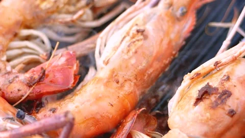 A close up of food Видео 156846900