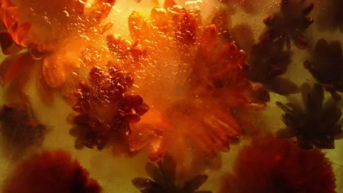 A close up of food 스톡 동영상 157862145