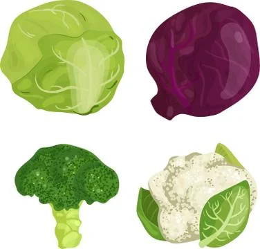 A close up of food Иллюстрация
