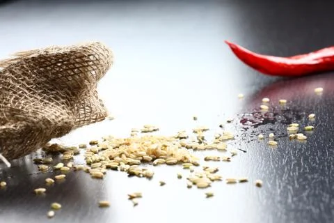 Close up of Food Stock Photos