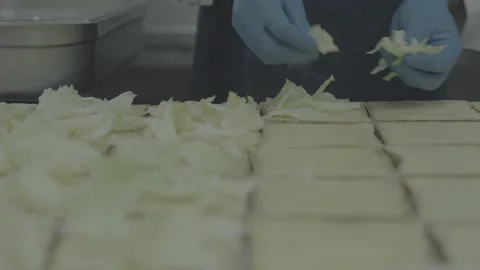 Close-up of food prep workers making sandwiches in bulk Stock-Footage 327356977