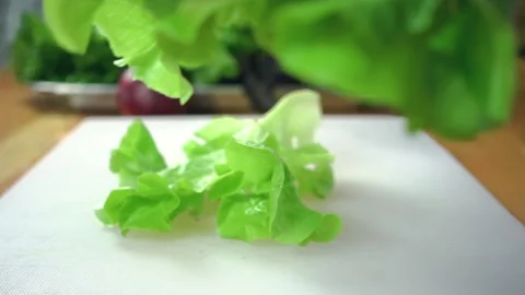 A close up of food on a table 库存影片 157872908