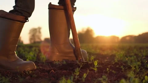 Close-up foot of farmer, worker man digging soil, ground with shovel in rubber Stock Footage 139955244