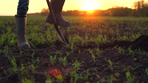 Close-up foot of farmer, worker man digging soil, ground with shovel in rubber Stock Footage 139956069