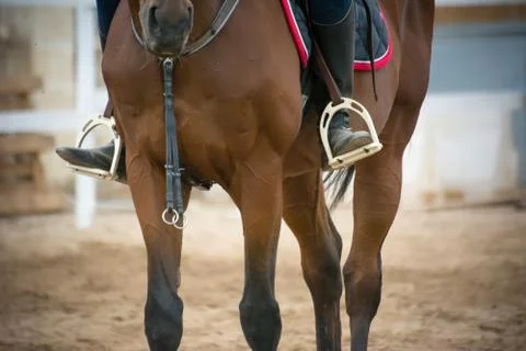 Close up of a foot inside the stirrups Stock Photos
