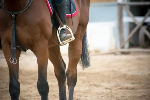 Close up of a foot inside the stirrups Stock Photos