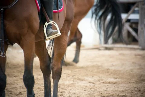 Close up of a foot inside the stirrups Stock Photos
