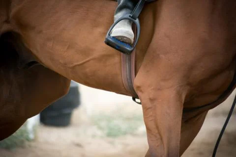 Close up of a foot inside the stirrups Stock Photos