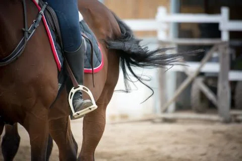 Close up of a foot inside the stirrups 库存照片