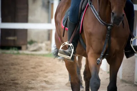 Close up of a foot inside the stirrups Фото