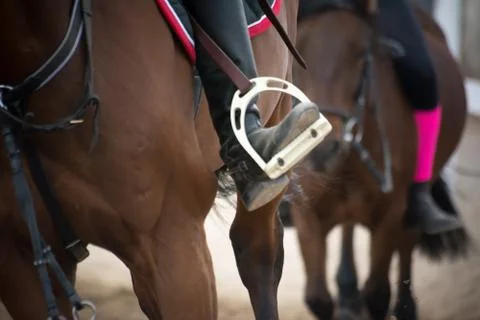 Close up of a foot inside the stirrups Stock Photos