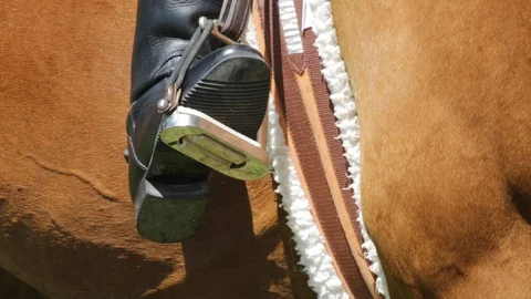 Close up of Foot in Stirrup Stock Footage 95822953