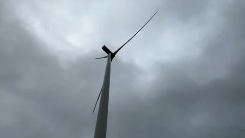 Close up Stock Footage 274256523