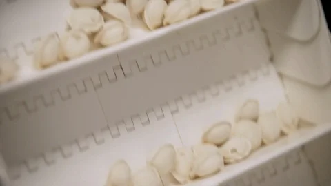 Close Up Footage of Automatic Machine Production Process at Dumpling Factory Stock Footage 128290393