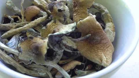 Close-up footage captures mushrooms in a container, with a hand delicately picki Stock Footage 255599620