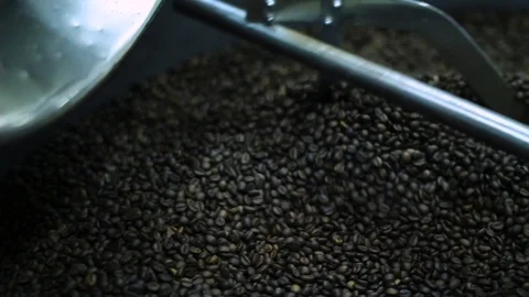 Close up footage of coffee processing with beans mixing Stock Footage 100143812