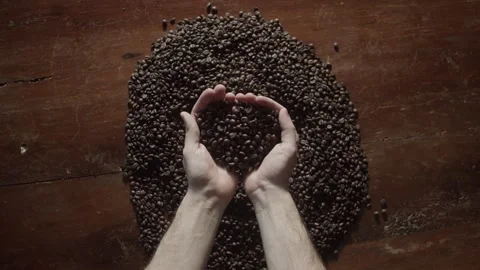 Close-up footage of hands picking roasted coffee beans, highlighting the Video stock 328471214