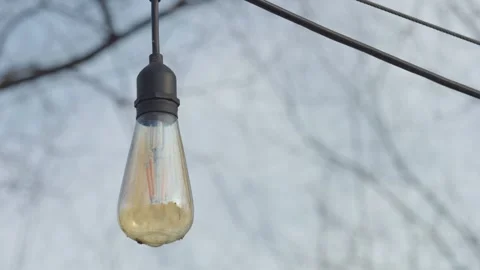 Close-up footage of a light bulb on a wire among branches by the lakeshore Stock-Footage 297218270