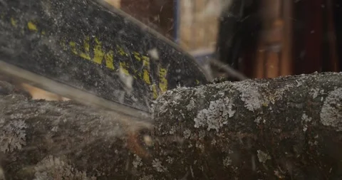 Close-up footage of a powerful chainsaw blade cutting through a tree branch Stock Footage 331873492