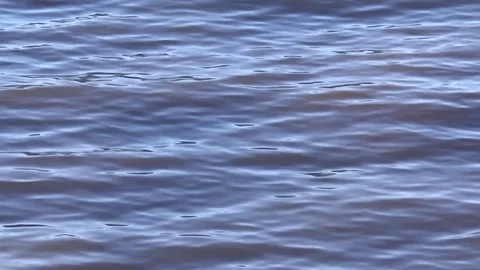 Close-up footage of the River Thames Stock Footage 74377029