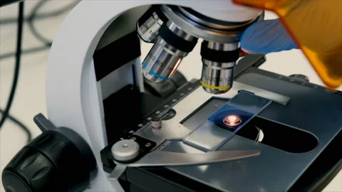Close-up footage of scientist makes changes objectives and sets up microscope in Stock Footage 103717366