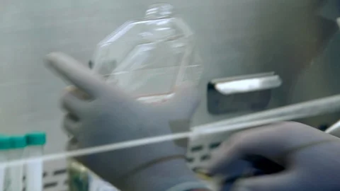 Close-up footage of a scientist using a pipette in a laboratory. Stock Footage 100269012
