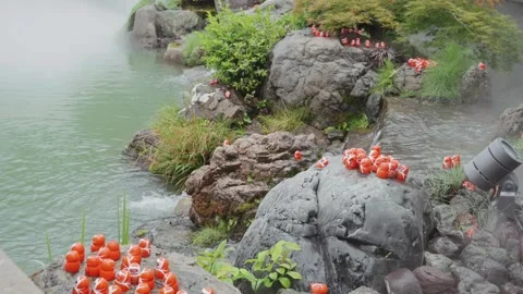 Close-up footage shows clusters of small red Daruma dolls positioned along Stock Footage 344281305