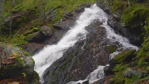 Close-up footage of a small cascading waterfall flowing over moss-covered rocks Stock Footage 308918315