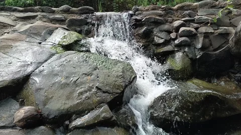 Close-up footage of a small waterfall cascading over mossy rocks. Video stock 318231995