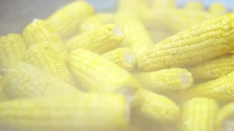 Close up footage of some boiled corn. 库存影片 86511450