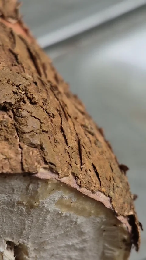 Close-up footage of the texture of raw, cut cassava Stock Footage 316519804