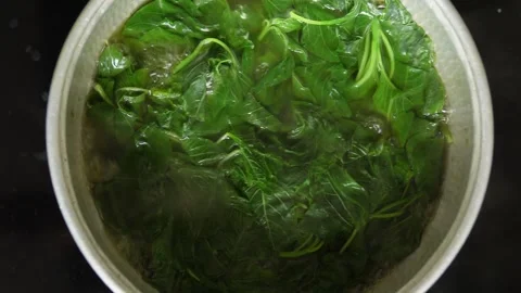 Close up footage of vegetable cooking process, boiling spinach inside a pot. Stock Footage 305223826