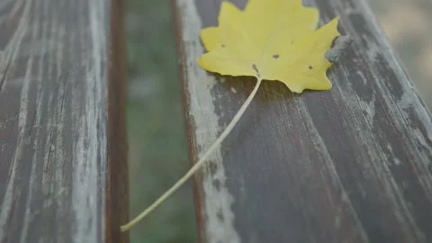 Close-up footage of a yellow leaf on an empty wooden bench Stock-Footage 203111068