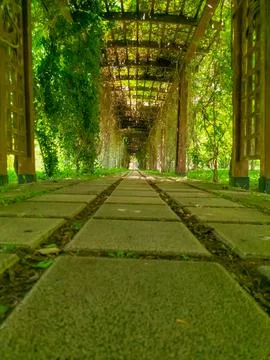 Close up of the footpath from its lowest point with a perspective into the .. Stock Photos