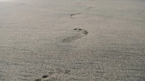 Close-up footprint on summer beach. crop footprint  on black sand on the beach.  Vídeo Stock 337740307