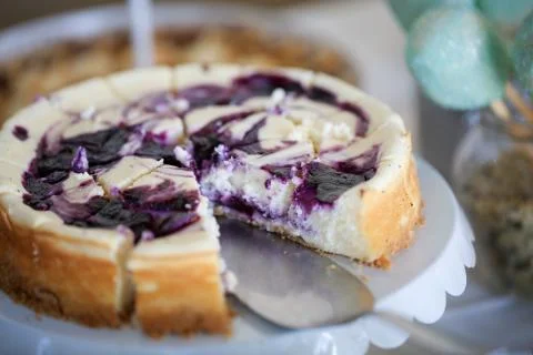 Close up of forest cheese Stock Photos