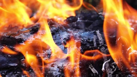 Close up: Forest fire from lava Video stock 220173444