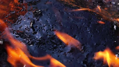 Close up: Forest fire from lava Vídeos de archivo 220173587