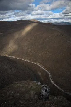 Close up of forest floor in the spring 스톡 사진