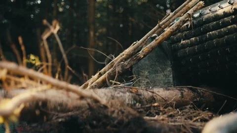 Close-up of a forest machine absorbing a fallen tree, amidst a natural Stock Footage 265472179